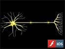 Action Potentials