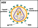 HIV