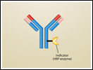 Immunohistochemistry