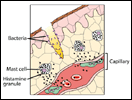 Inflammation