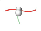 Click to view animation about the Life Cycle of a Protein