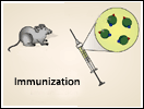 Monoclonal Antibodies