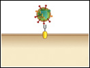 Click to view animation about Influenza Virus Entry into a Cell
