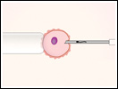 Click to view animation about the Wittig Reaction