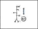 Click to view animation about Isocitrate Dehydrogenase