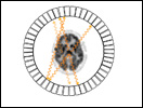 Click to view animation about Positron Emission Tomography (PET)