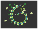 Click to view animation about Polyribosomes